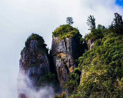 Kodaikanal