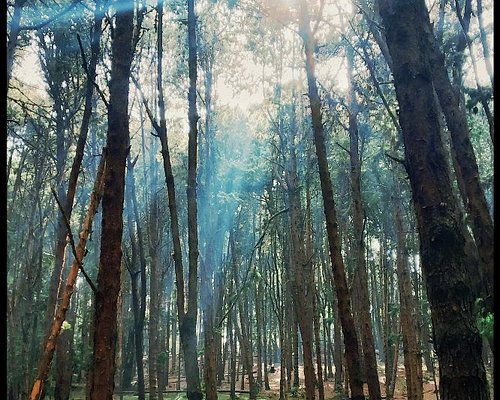 Kodaikanal