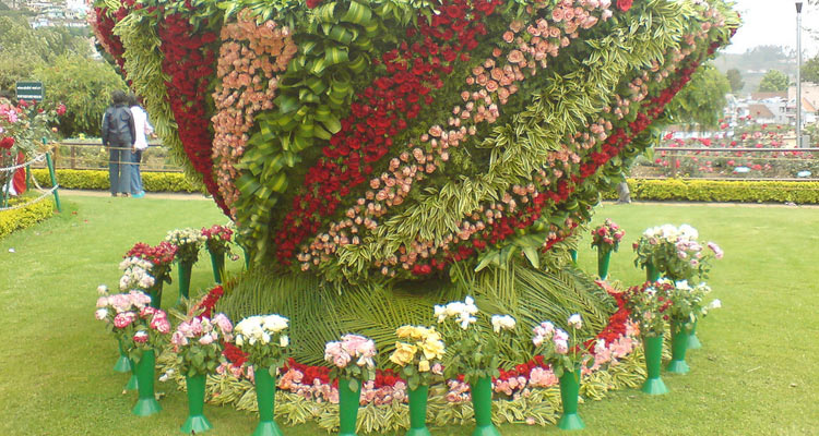 Ooty - Colonial Hill Station in Tamil Nadu