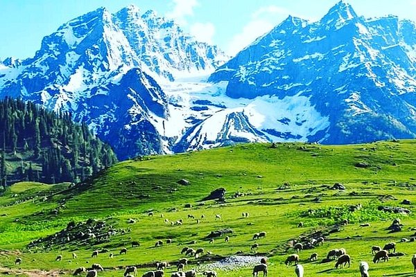 KASHMIR